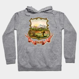 1876 Ohio Coat of Arms Hoodie